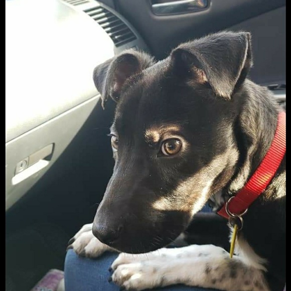 Meet your Posher, Angela - Picture 2 of 6